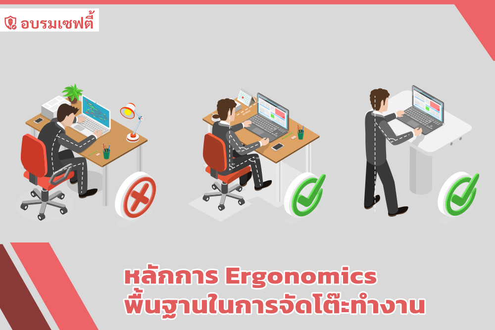 หลักการ Ergonomics 
พื้นฐานในการจัดโต๊ะทำงาน